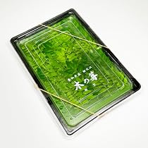 Amazon.co.jp: 木の芽 愛知県産 パック 山椒 若芽 葉 料亭 日本料理 