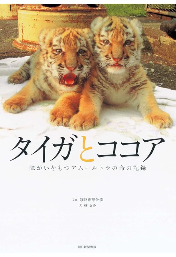 いのちかがやけ!タイガとココア : 障がいをもって生まれたアムールトラのきょう… いのちかがやけ!タイガとココア : 障がいをもって生まれたアムールトラ