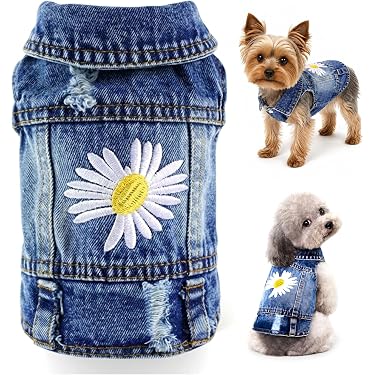 Amazon.co.jp 売れ筋ランキング: 犬用コート・ジャケット の中で最も