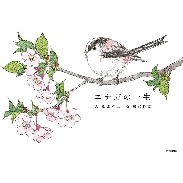 81mh4E6SK4L._AC_UL600_SR600,
