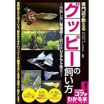 専門店が教える グッピーの飼い方 失敗しない繁殖術から魅せる