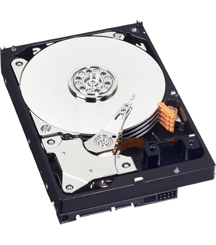 Western Digital 1TB Gold Enterprise-Class Hard Drive - WD1005FBYZ