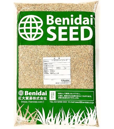 Amazon.co.jp: センチピードグラス種子 1kg（500g×2袋）芝の種 : DIY