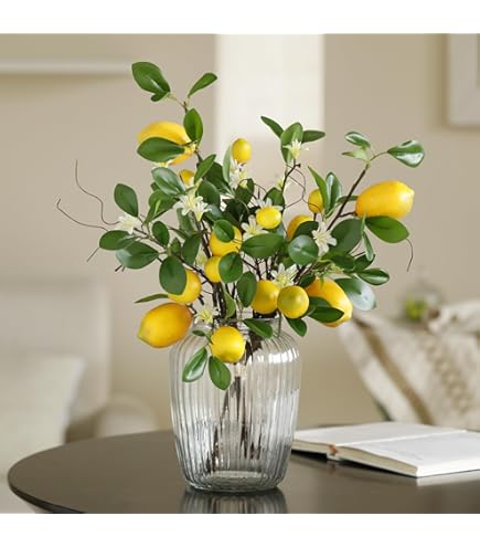 Amazon｜Serene Spaces Living Decorative 葉っぱ付き本物のレモン