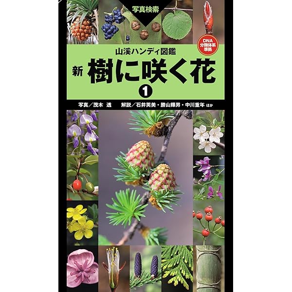 Amazon.co.jp: 山溪カラー名鑑 増補改訂新版 日本のきのこ eBook