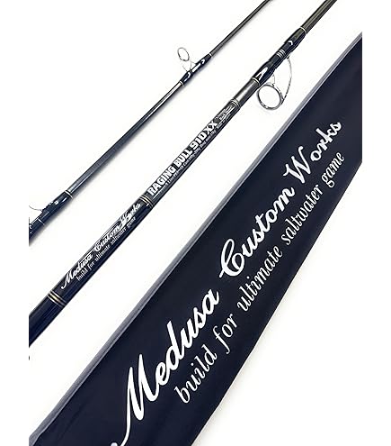 MCワークス　レイジングブル　100XR-1 MCワークス レイジングブル100XR-1 カスタムモデル 2025.06