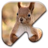 Jigsaw Puzzles Free Game - Chapter 9