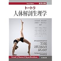 81n-5DbmFGL._AC_UL210_SR210,