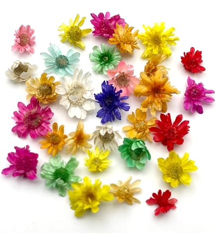 Amazon.co.jp: ドライフラワー 花びら つぼみ 色々ミックス レジン