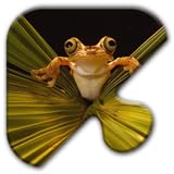 Jigsaw Puzzles Free Game - Chapter 22