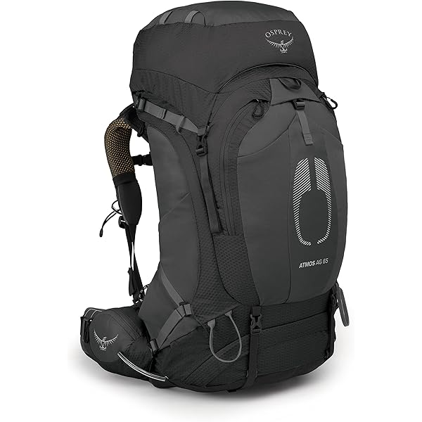 Amazon.co.jp: [オスプレー] オーラ AG 65 XS-S タングステン