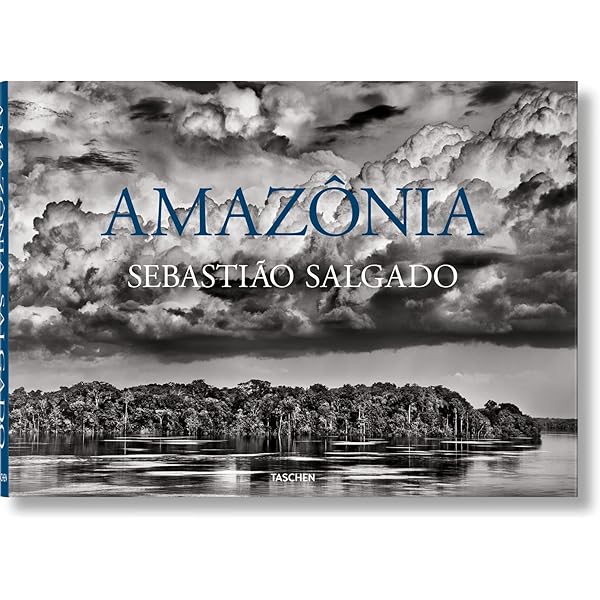 Amazon | Sahel: The End of the Road (Series in Contemporary