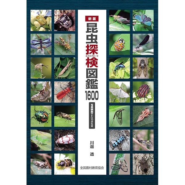 海岸動物の生態学入門: ベントスの多様性に学ぶ | 日本ベントス学会