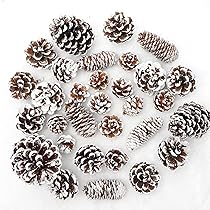 81nGYeabgBL._AC_UL210_SR210,