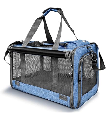 M-Pets Sixties Clock Pet Carrier, Blue : Amazon.com.au: Pet Supplies