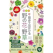 野の花を描く①から12 花が好き、押し花が好き 私の花生活 2025 Summer No.118: 本