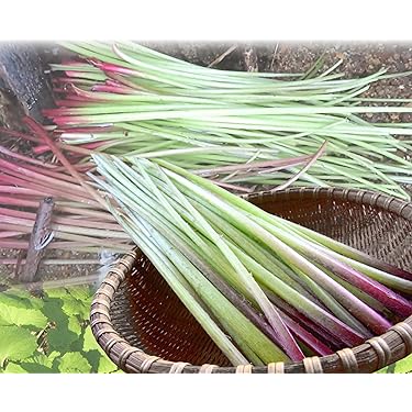 Amazon.co.jp 売れ筋ランキング: ふき の中で最も人気のある商品です