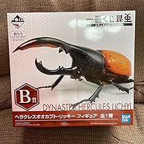 81nYWm9vsnL._AC_UL210_SR210,