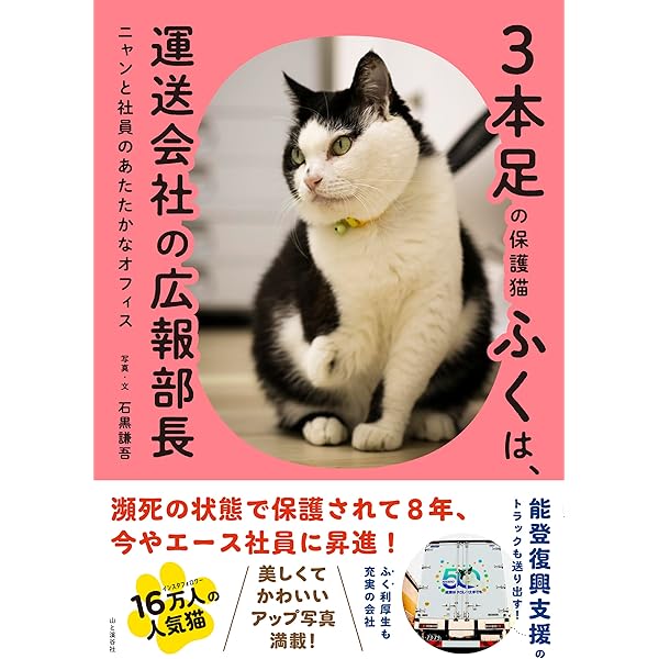 みけちゃん永遠物語: にゃん生“はなまる”にゃわ | 村上 しいこ |本