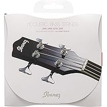 Ibanez エレアコベース 4弦 81nehLPD3SL._AC_UL210_SR210,