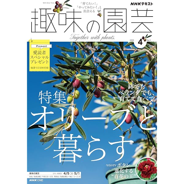 Amazon.co.jp: NHK 趣味の園芸 2026年 1月号 ［雑誌］ (NHK