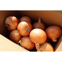 Amazon.co.jp: 訳あり じゃがいも じゃがいも メークイン ポテト