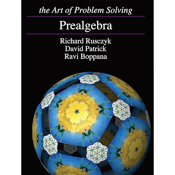 洋書 The Art of Problem Solving: The Basics The Art of Problem Solving, Volume 1 : The Basics by Richard