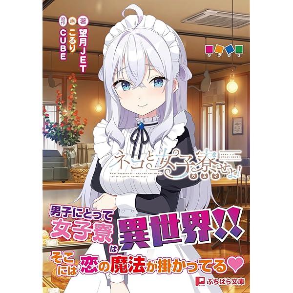 Amazon.co.jp: 夏ノ雨 ビジュアルファンブック 【書籍】 : PCソフト