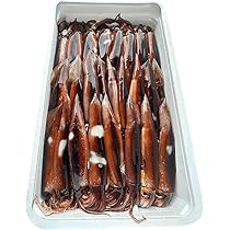 冷凍アオリイカ 約4キロ 冷凍アオリイカ 約4キロ 楽天市場】アオリイカ（総重量（水産物