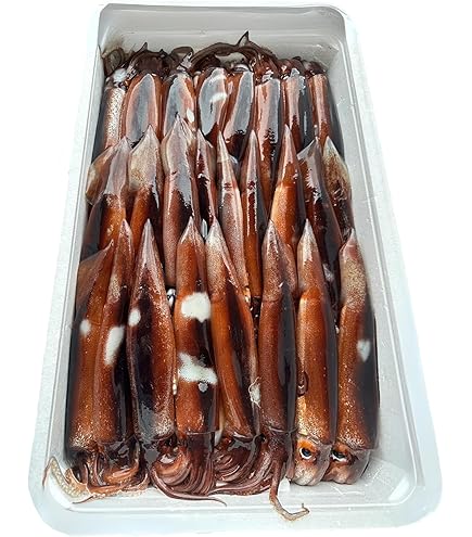 Amazon.co.jp: スルメイカ（真烏賊）20尾位で4kg 大サイズ : 食品