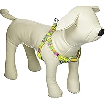 犬 Amazon | ドギーマン タフタフ 胴輪 マルチカラー 超小型犬用 SS