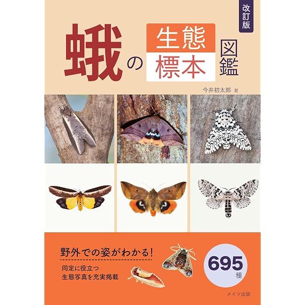 日本の蛾 | 岸田泰則 |本 | 通販 | Amazon