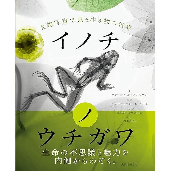 不思議な森の不思議なモノアクジュアリーサンマタ 不思議な森 | nodasanta | AWRD