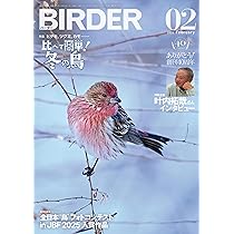 BIRDER (バ ーダ ー) 2006年02月号 81nsgzZhPIL._AC_UL210_SR210,