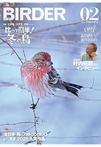 美品【BIRDER 】2023年 BIRDER（バーダー）2025年12月号 鳥撮カメラ使いこなし術 | BIRDER編集