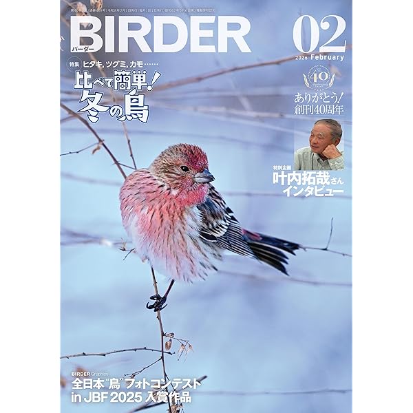 Amazon.co.jp: BIRDER 2024年 11 月号 [雑誌] : Japanese Books