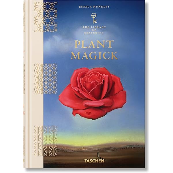 【ラプンツェル様用】WITCHCRAFT / The Alchemist他 ラプンツェル様用】WITCHCRAFT / The Alchemist他 ラプンツェル様用