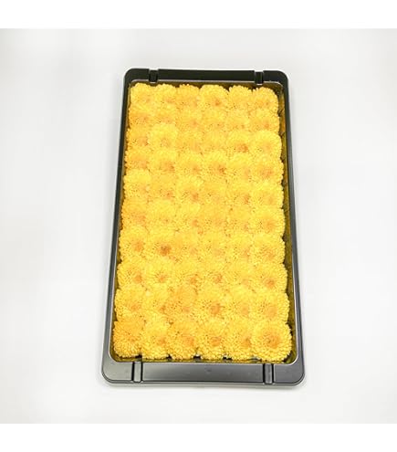 Amazon | 食用 干し菊 10枚 業務用 冷蔵 酢の物 汁物 和え物に | yayoi