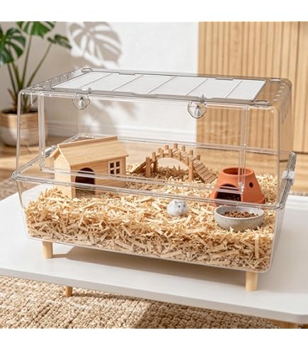 Amazon | ジェックス アクリルルーム510Low 小動物用ケージ | GEX