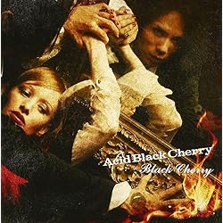 Acid Black Cherry CRISIS 初回盤CD＋DVD 5枚セット Amazon.co.jp: CRISIS - Acid Black Cherry (DVD付): ミュージック