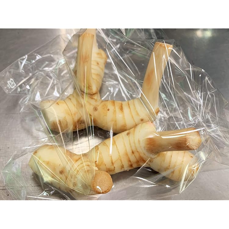 Amazon.co.jp: タイ産 新鮮輸入 トムヤムクン 野菜セット (ガランガル