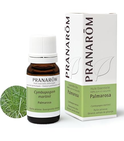 Amazon.co.jp: プラナロム (PRANAROM) 精油 リトセア 10ml p-107