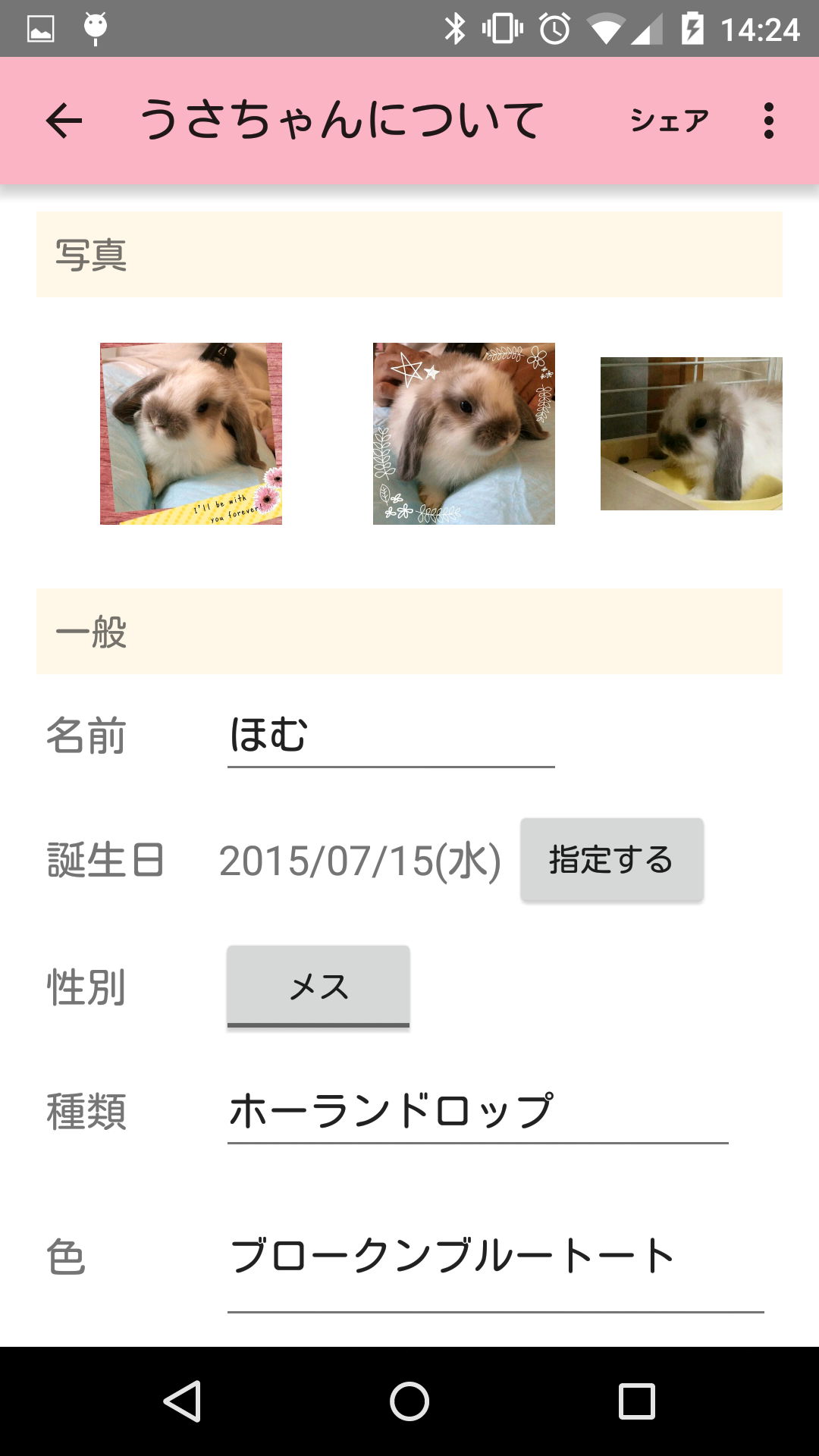想像を超えての うさぎ猫様 専用ページ Web限定 Www Nccextremadura Org