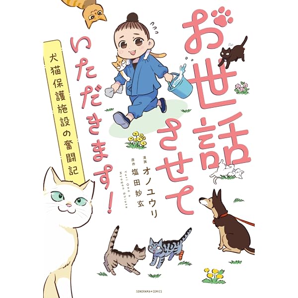 家に黒猫がいます 1 (1巻) (YKコミックス) | 安堂 維子里 |本 | 通販