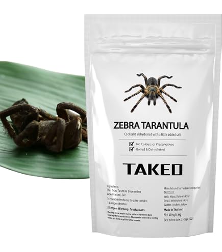 Amazon.co.jp: [昆虫食] タランチュラ Zebra Tarantula 8g TIU0021