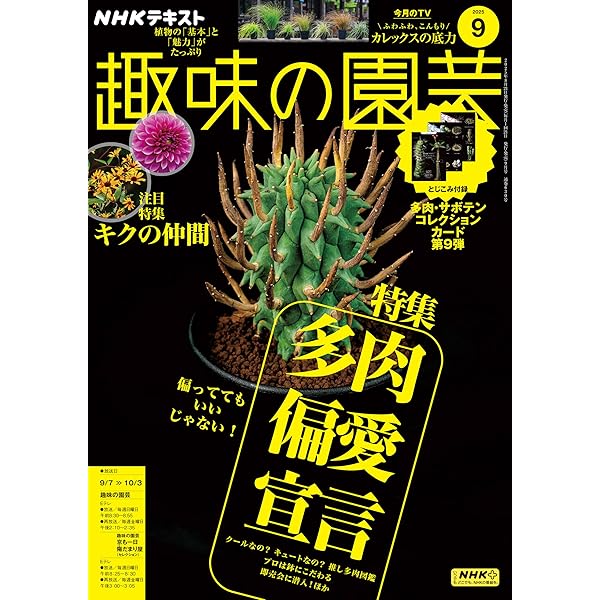 【レア品】34年前の古書　ＮＨＫ趣味の園芸　19冊1991年〜1992年 昭和 レア品】34年前の古書 NHK趣味の園芸 19冊まとめて 1991年