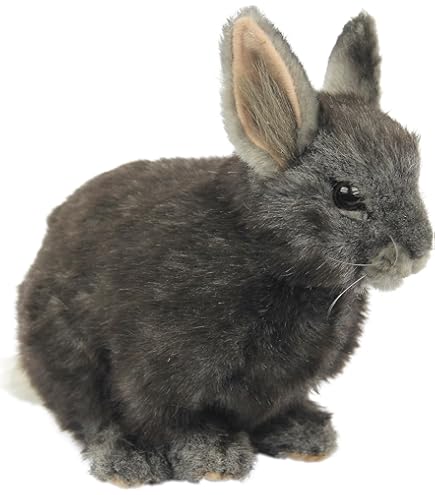 ハンサ オカピ Amazon.co.jp: ハンサ(HANSA) 動物 ぬいぐるみ オカピ No.3829 : おもちゃ