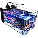 Amazon Gankpike アクアリウムセット 超クリアガラス水槽 海水魚水槽 容量 約28l Gankpike 飼育セット 通販