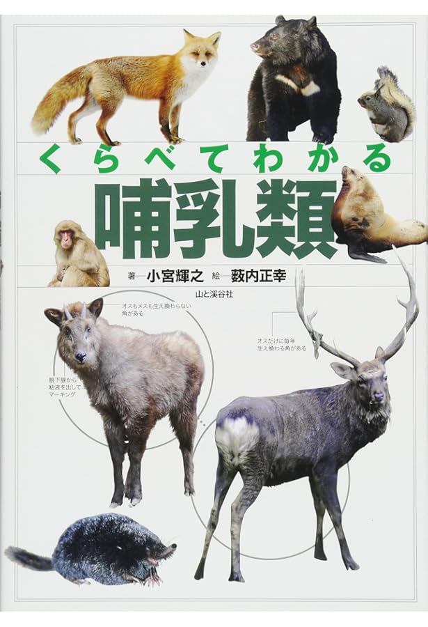 日本哺乳類大図鑑　偕成社 Amazon.co.jp: 日本哺乳類大図鑑 : 飯島正広, 土屋公幸, ., 土屋