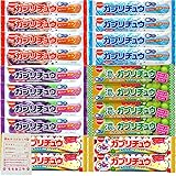 明治チューインガム ガブリチュウ コーラ グレープ ラムネ ホワイトソーダ 濃いマスカット 5種 各4個 計20個 ソフトキャンディ +おやつのふくろ おかし